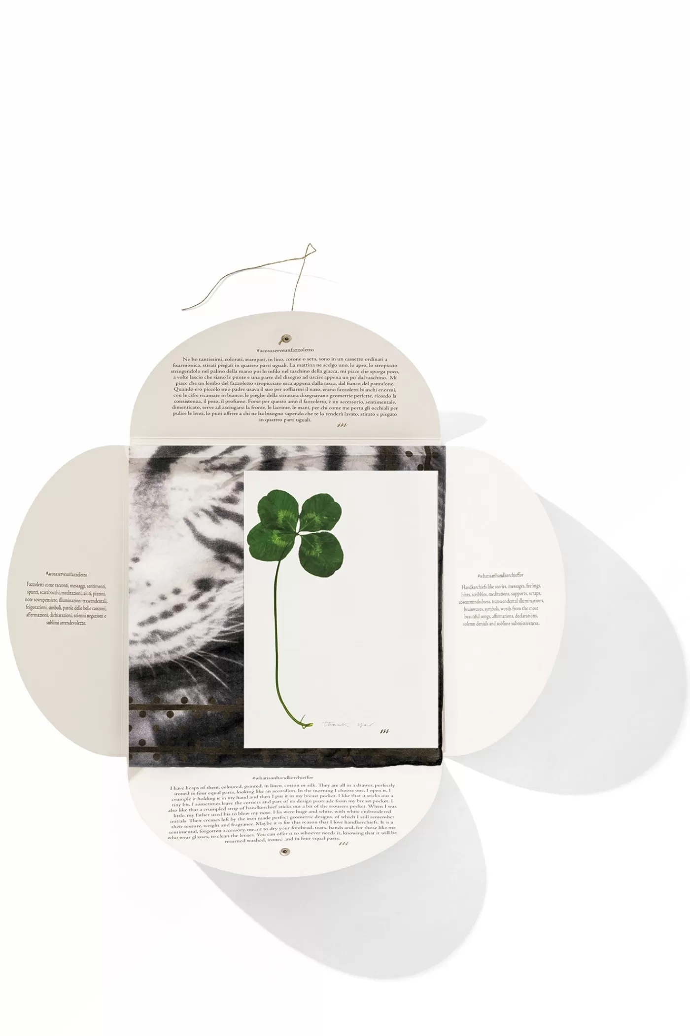 Massimo Alba HANKY1< Handkerchiefs